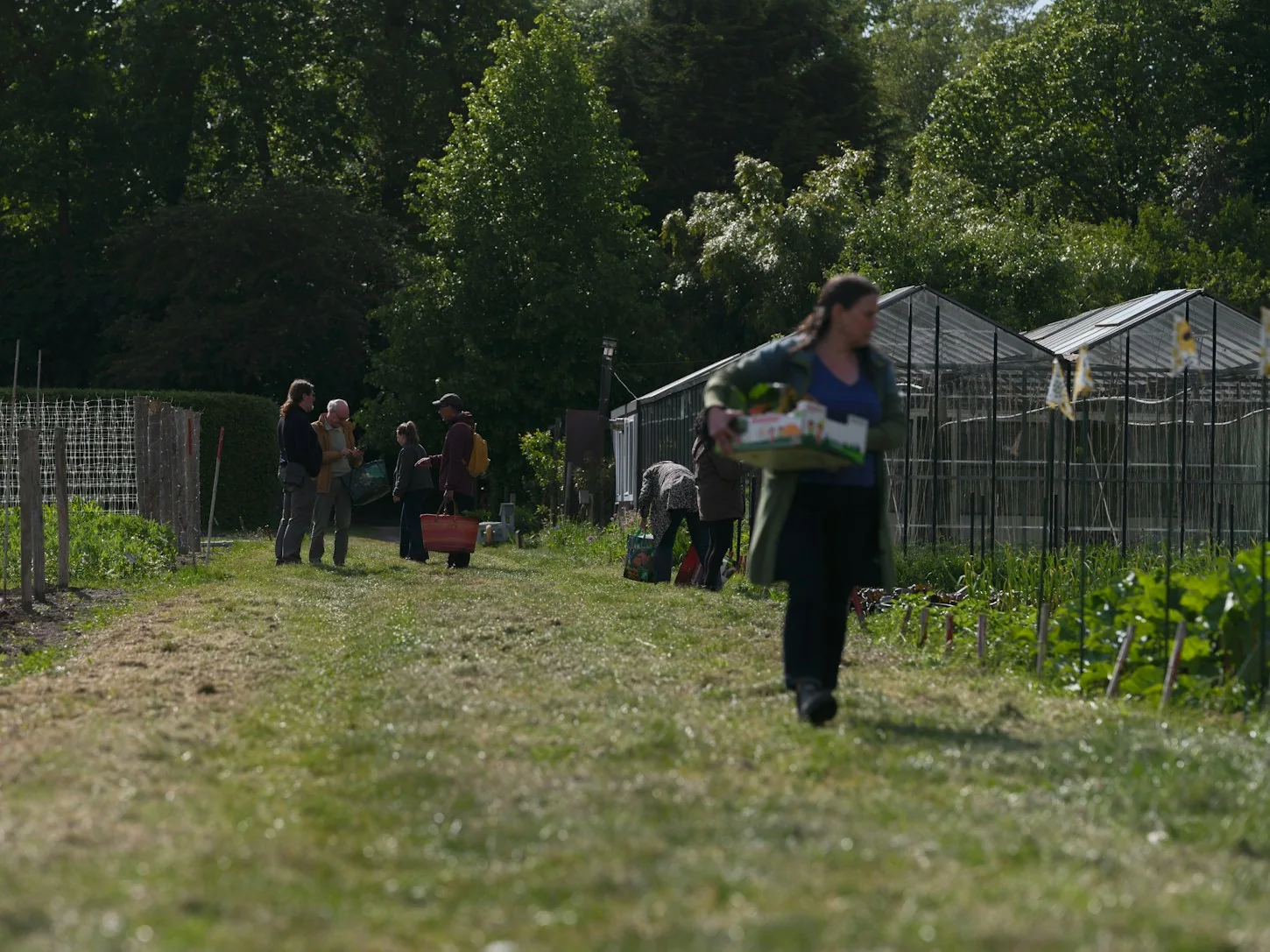 People gathering around an active community garden
