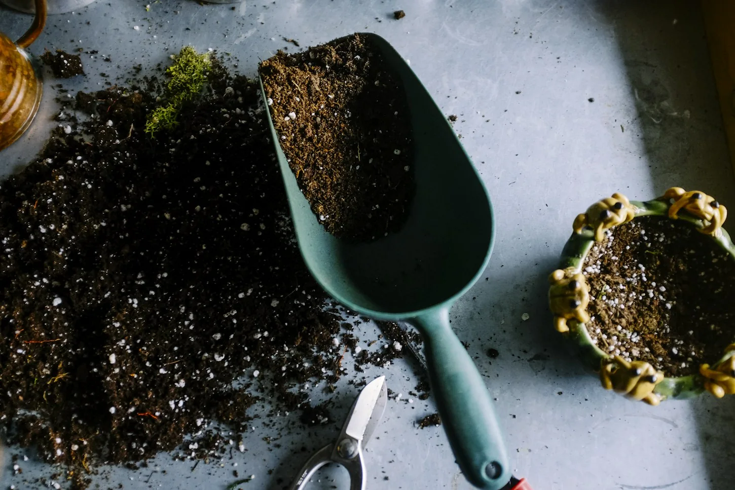 Build living soil