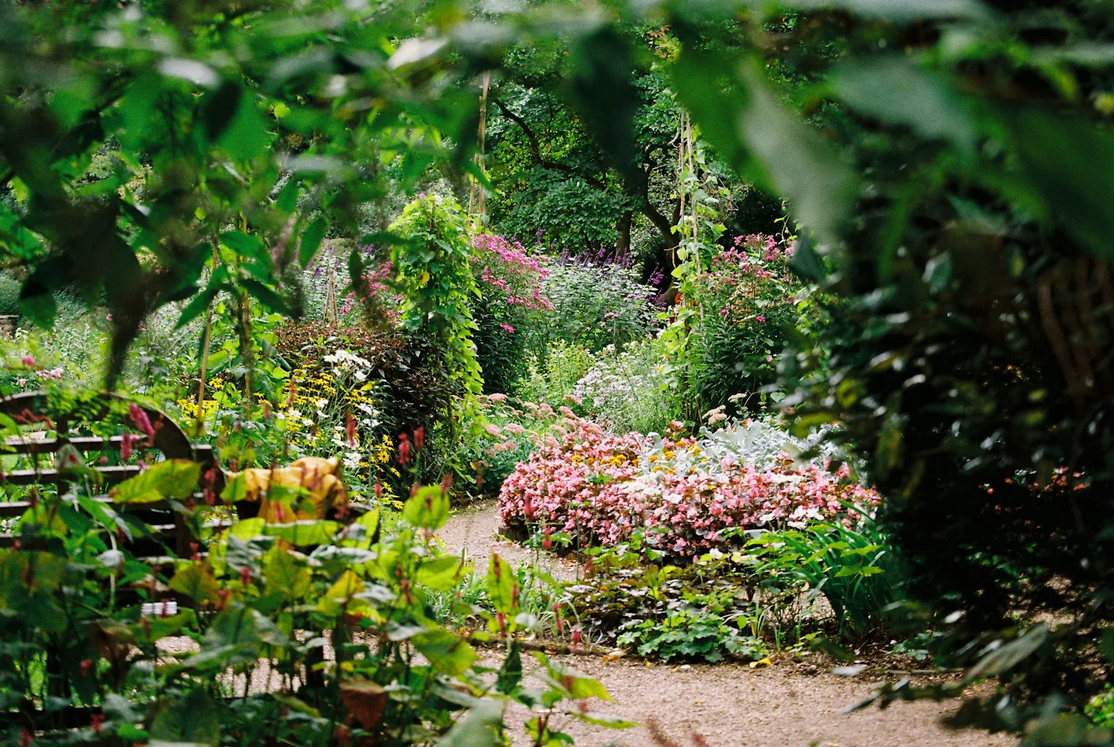 Illustrative naturalistic English garden with lush flowering borders and interconnected planting