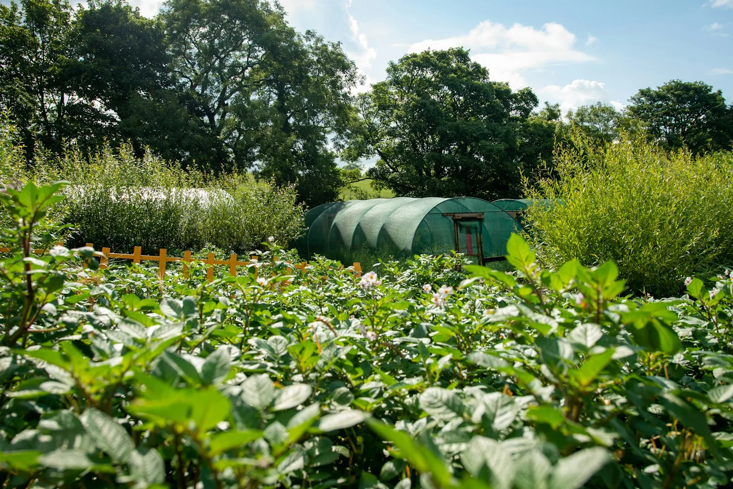 Illustrative ecological photograph accompanying the our work programme