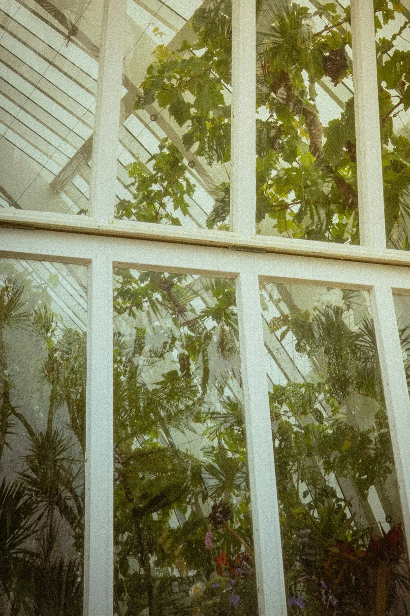 Illustrative ecological photograph accompanying the about programme